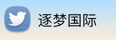 逐梦国际 Logo